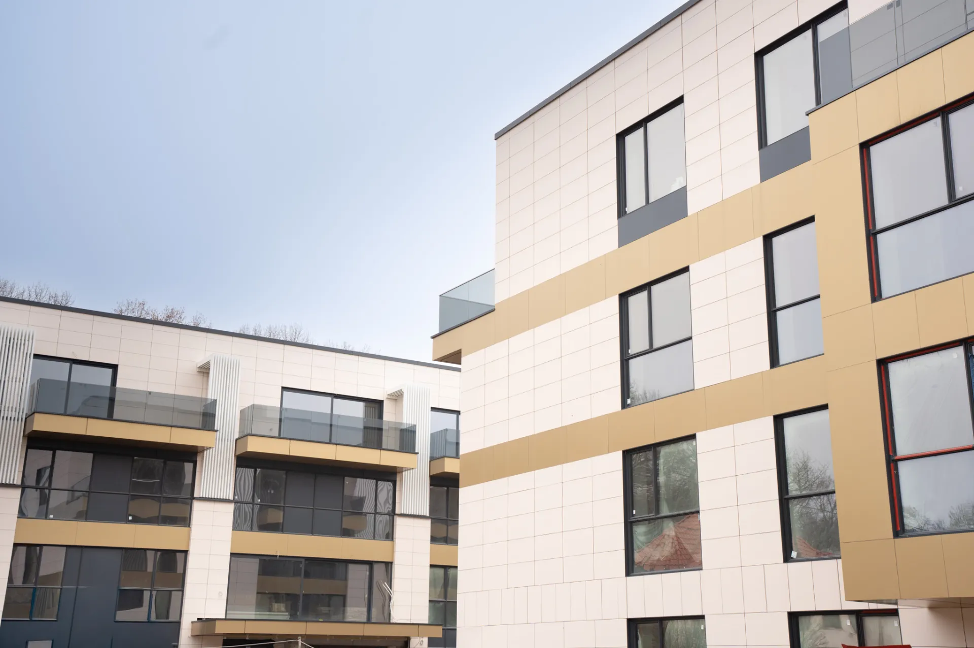 Iancu Nicolae Residence - 2