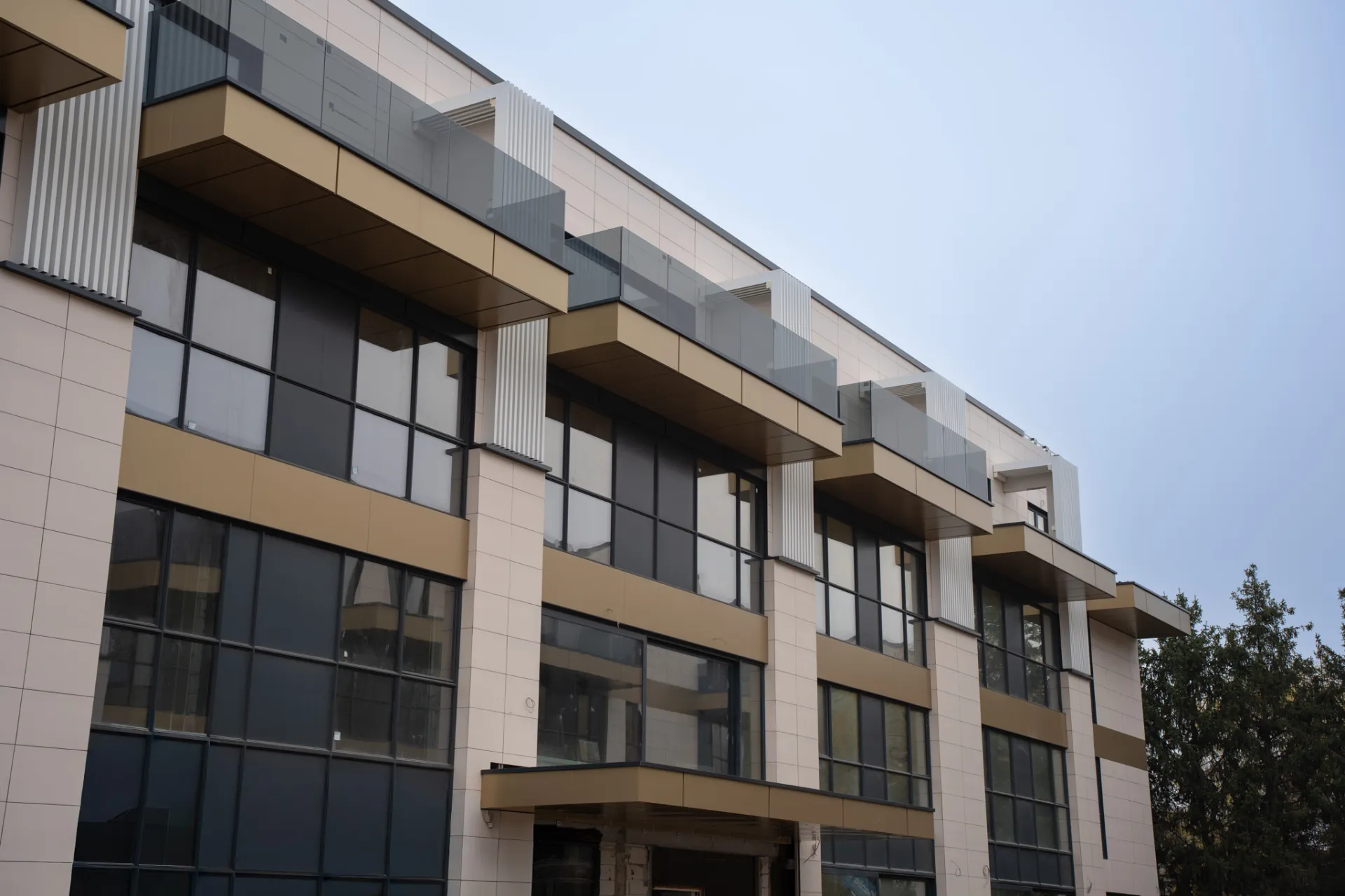 Iancu Nicolae Residence - 3