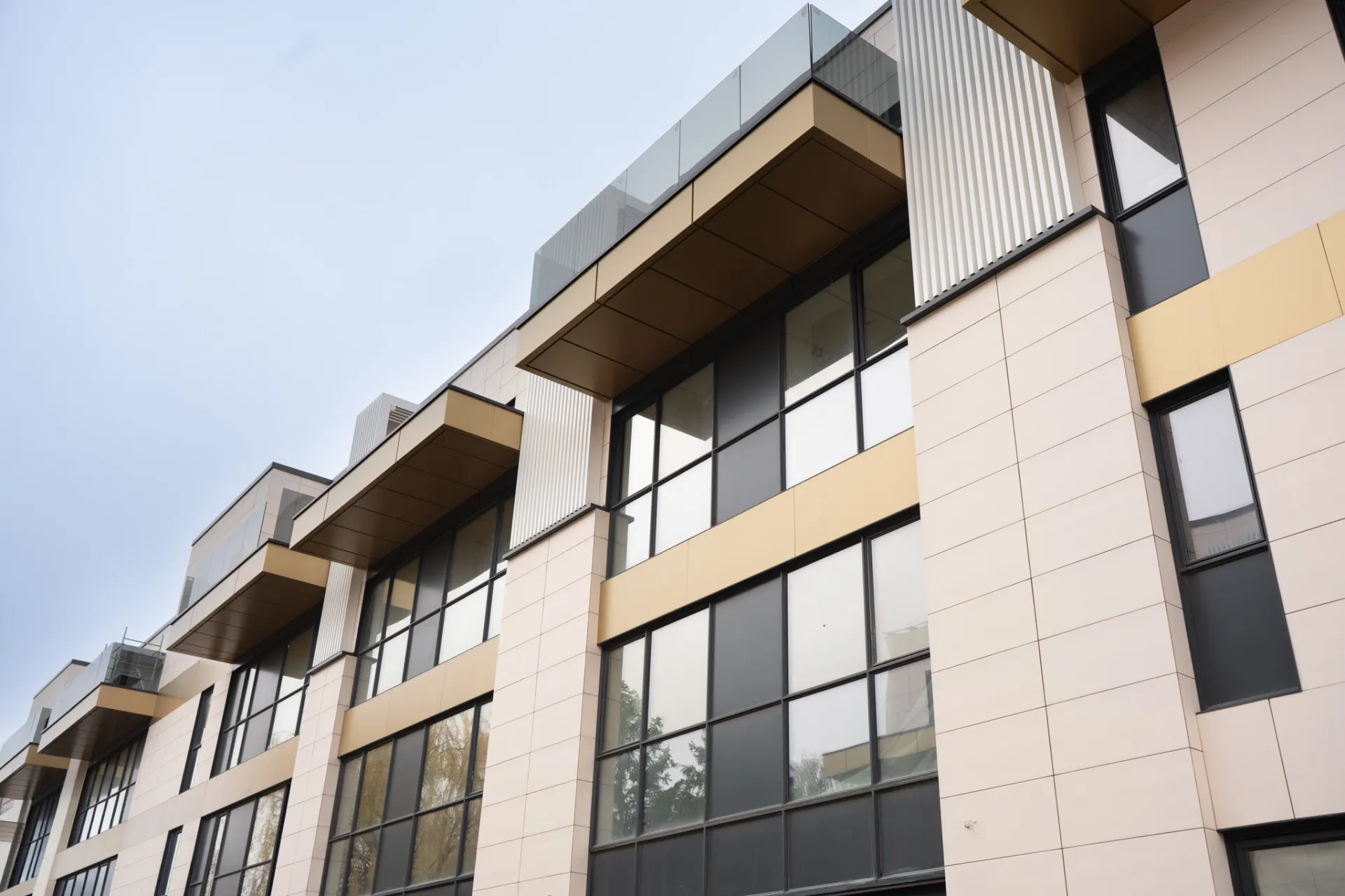 Iancu Nicolae Residence - 6