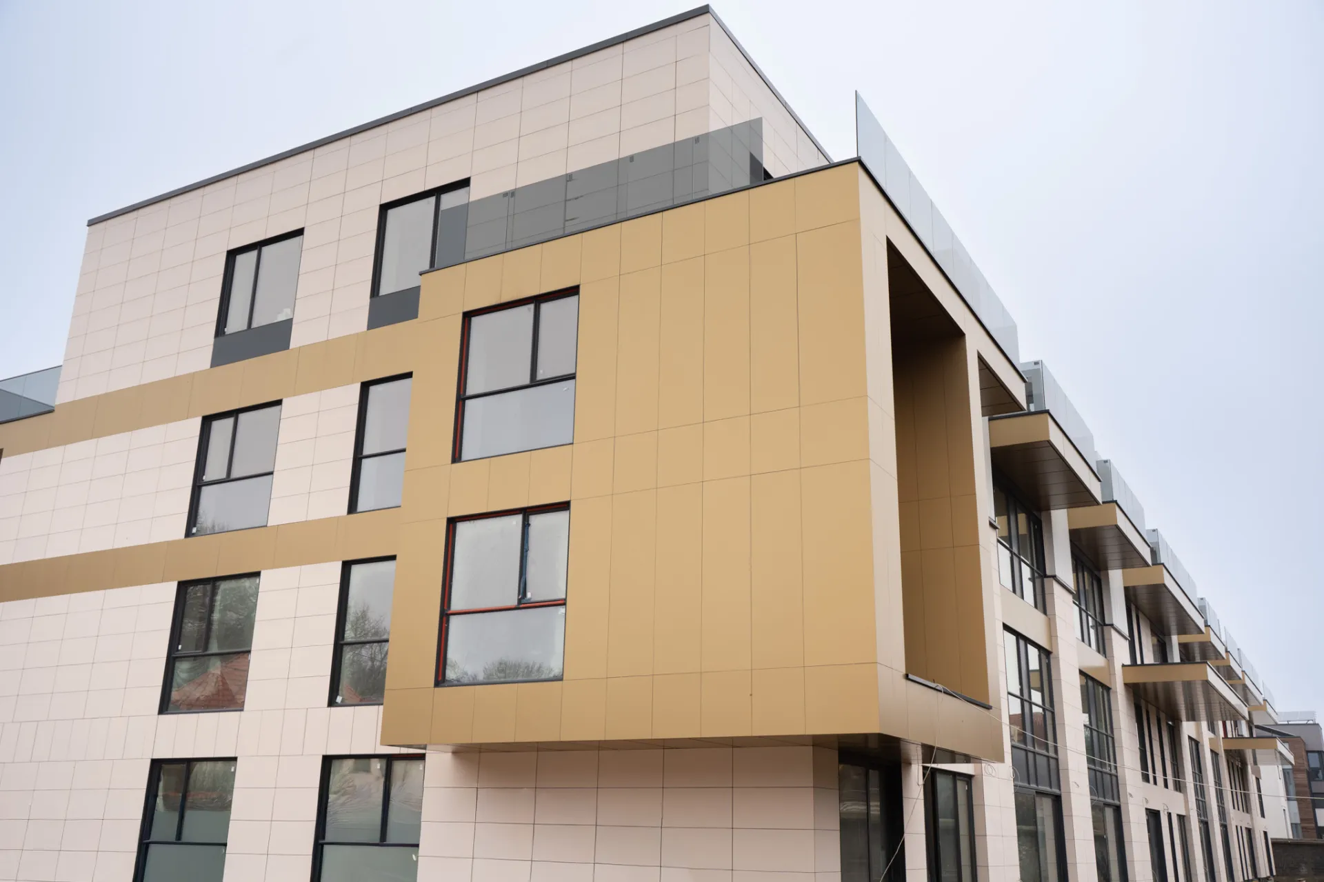 Iancu Nicolae Residence - 7