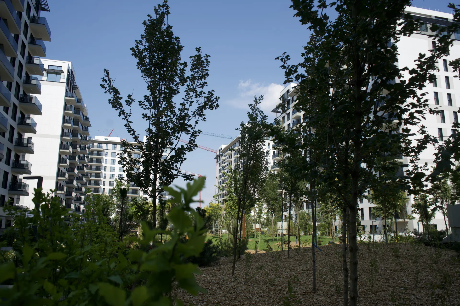 Apartament 4 camere cu gradina de 195 mp | Geamuri Schüco, parchet triplustratificat | Floreasca - 3/16