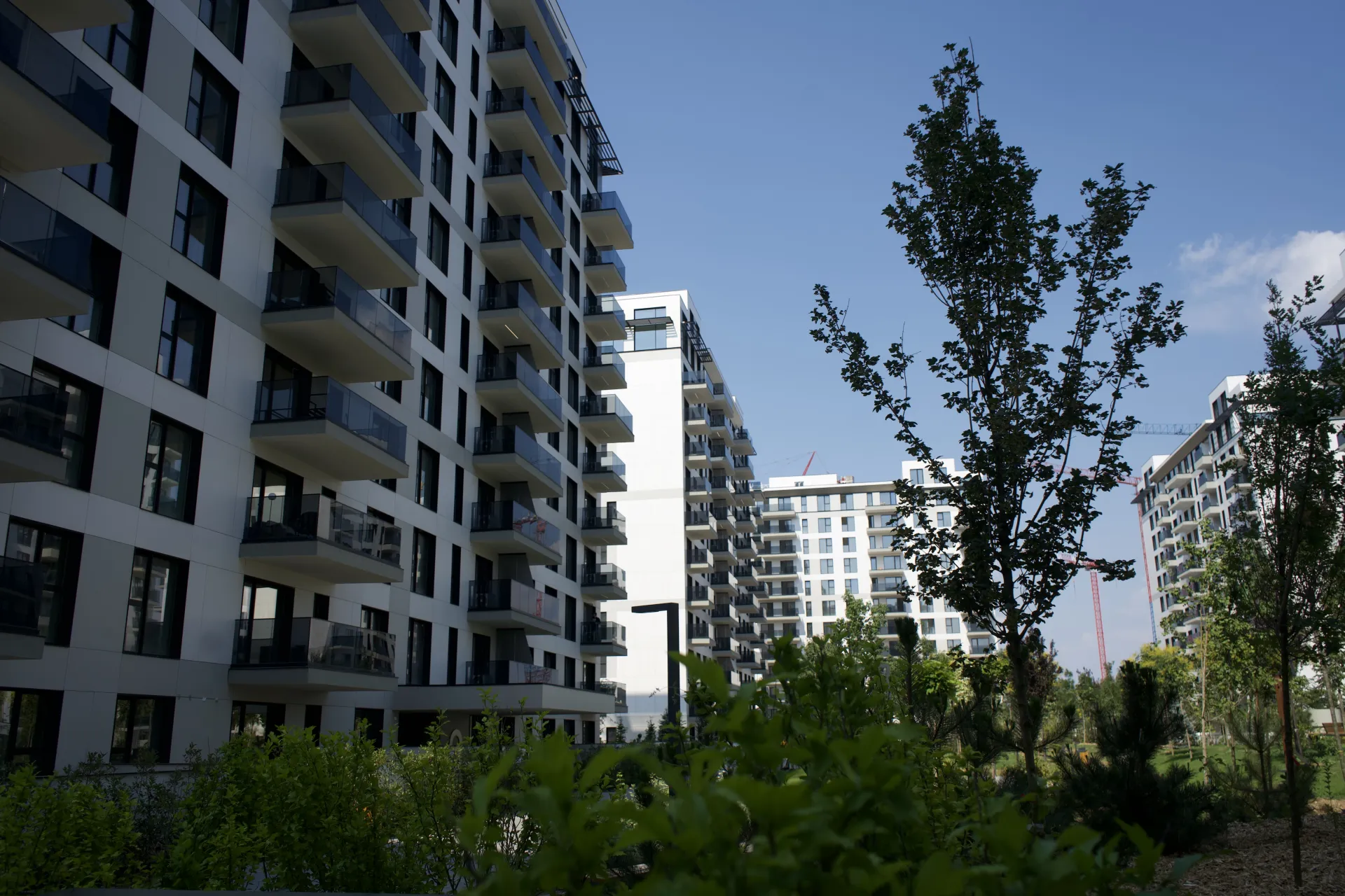 Apartament 4 camere cu gradina de 195 mp | Geamuri Schüco, parchet triplustratificat | Floreasca - 9/16