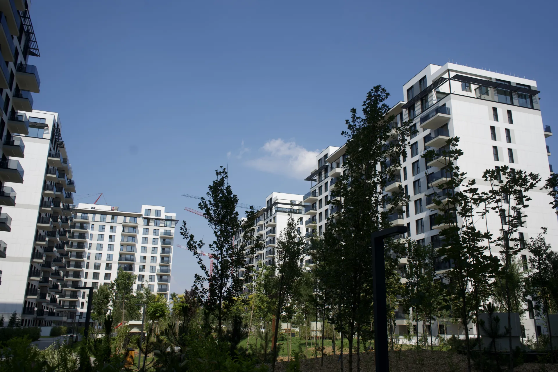 Apartament 4 camere cu gradina de 195 mp | Geamuri Schüco, parchet triplustratificat | Floreasca - 11/16