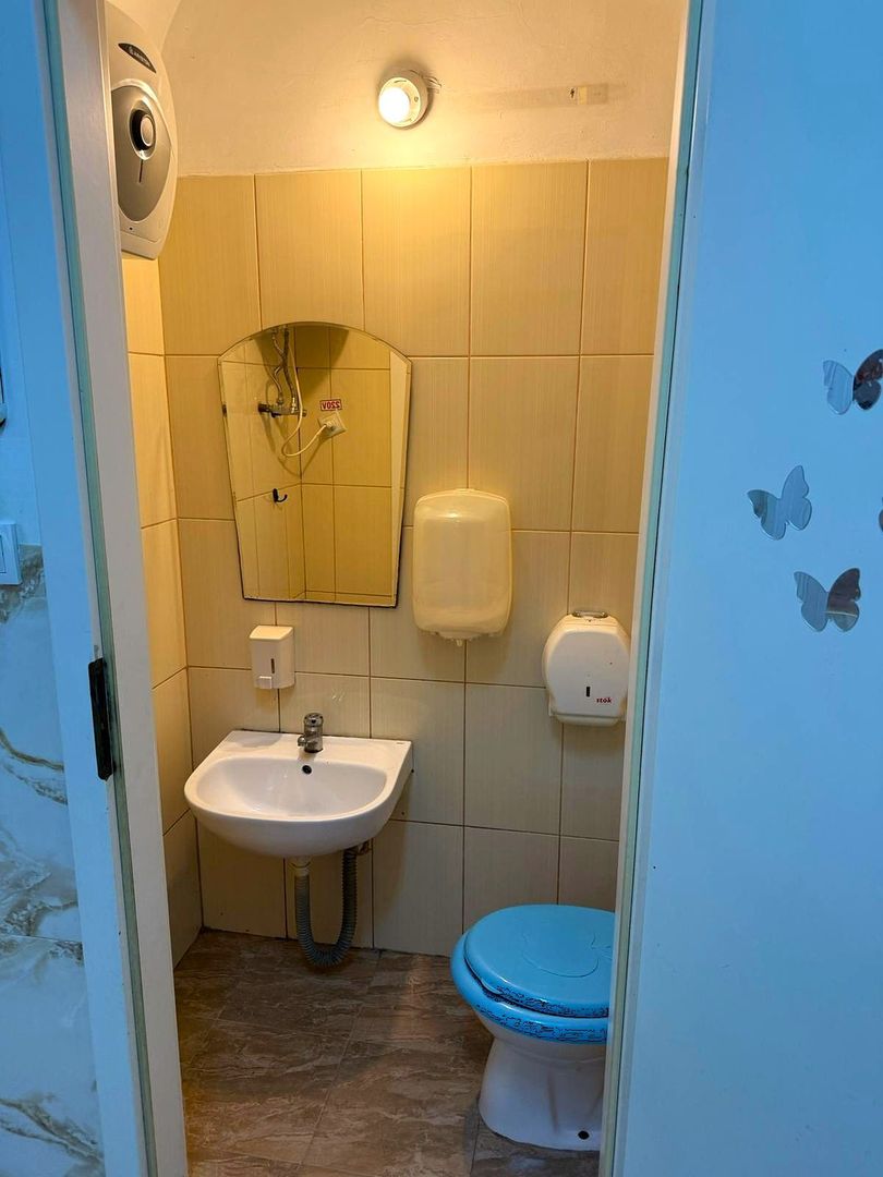 Inchiriere Vila 325 mp | Timpuri Noi | 9 camere + curte 800 mp