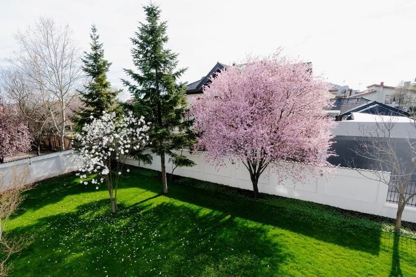 Premium villa for rent | Pipera area - 3/10