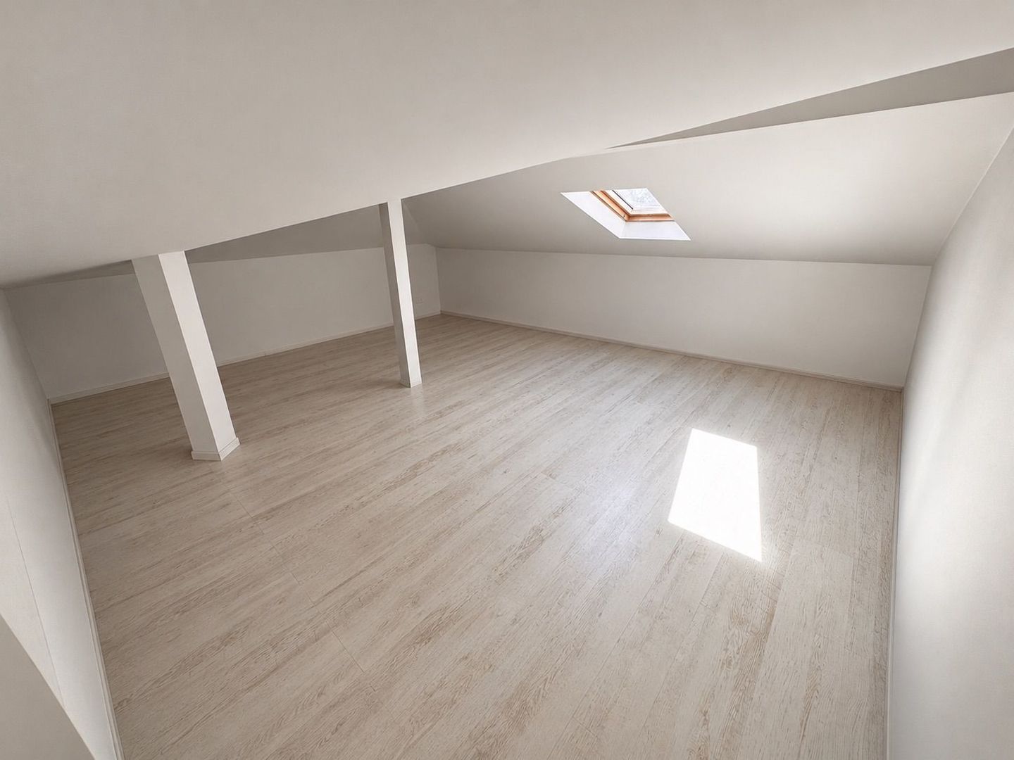 SPATIU COMERCIAL | DOMENII | 300 MP | 180 MP CURTE - 7