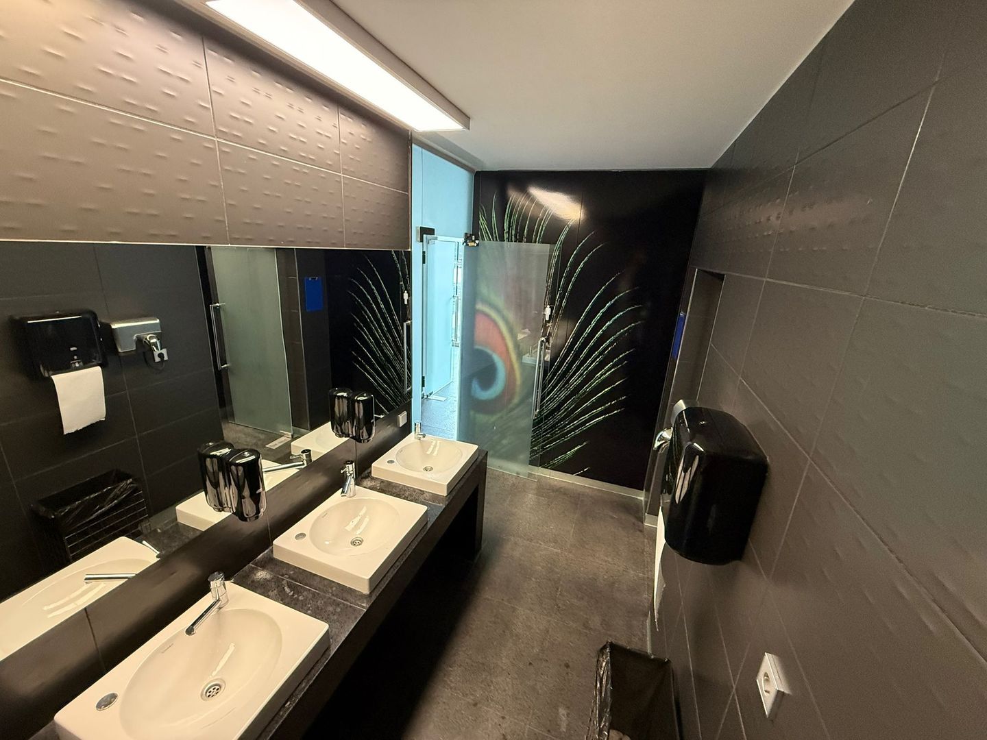 Birouri de inchiriat | 300 mp | Baneasa