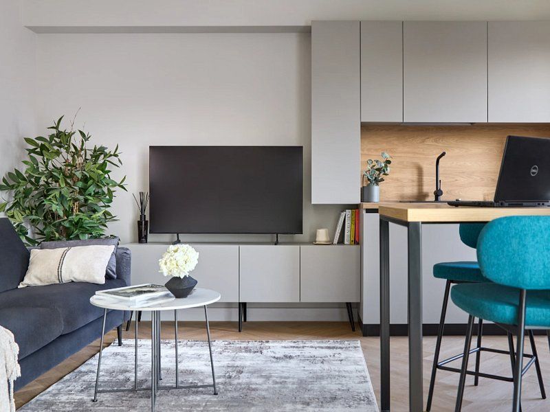STUDIO - PIPERA DE INCHIRIAT // Pet friendly - 5/8