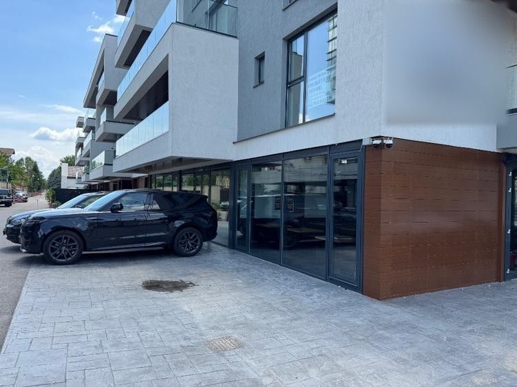 Spatiu comercial cu terasă I Pipera-Erou Iancu Nicolae I 350 mp - 2