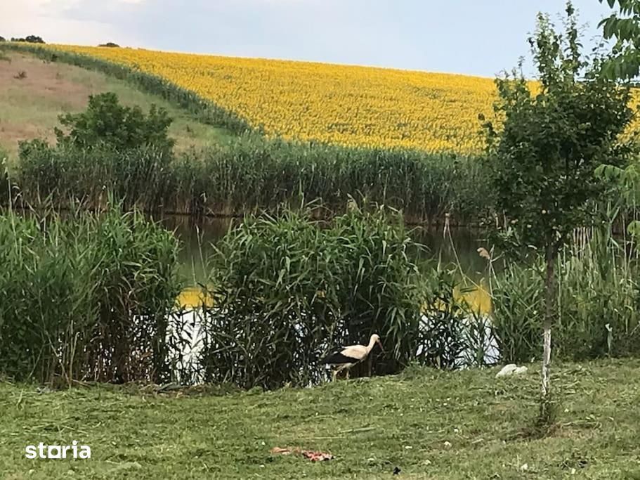 Casă de închiriat cu vedere la lac aproape de Therme și Aeroport - 6