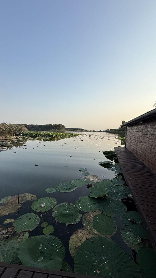 Vila Lac Silistea Snagovului - 18