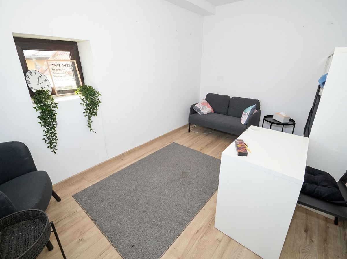4 camere 2 bai vila interbelica Dorobanti - 6