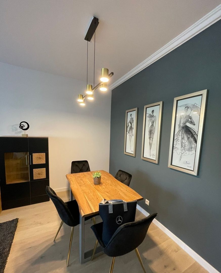 Apartament superb dde 2 camere in zona Aviatiei - 4
