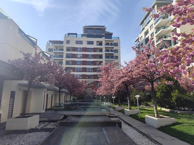 Apartament 3 camere | Lacul Tei | Prima închiriere - 9