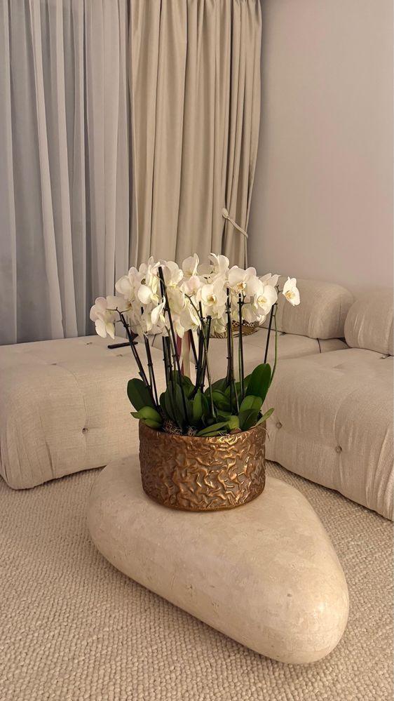2 Camere de inchriat | Pipera | Parcare inclusa - imagine 3