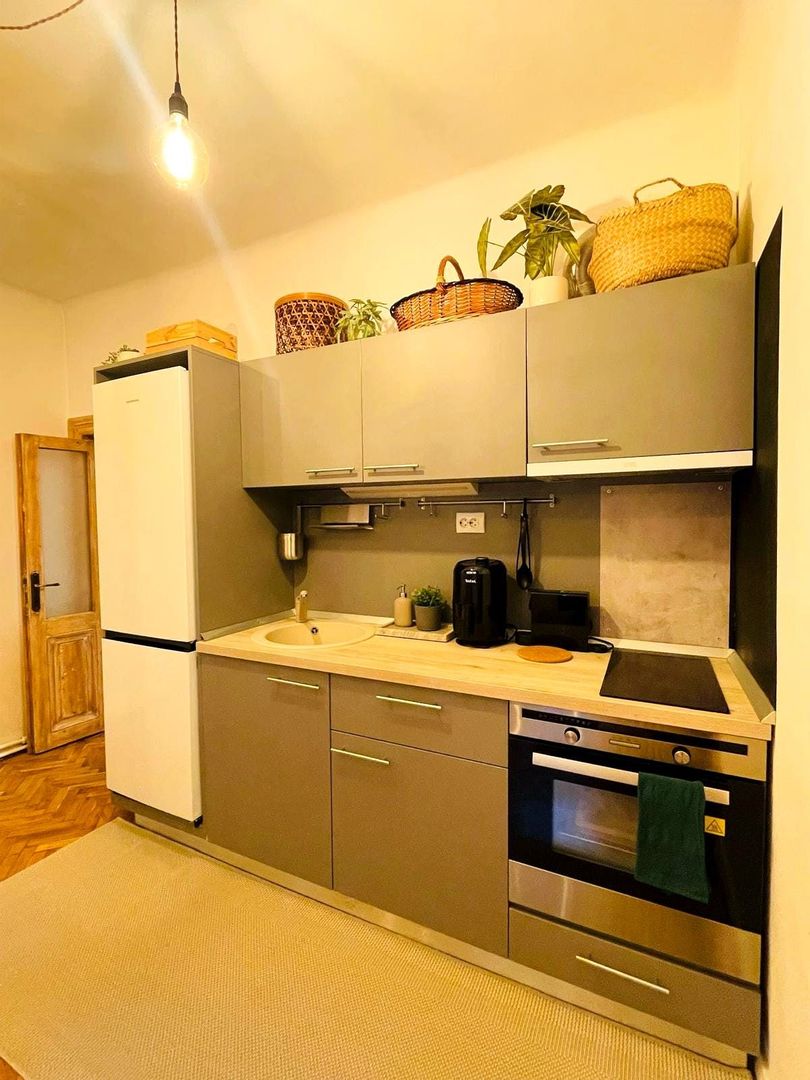 APARTAMENT 2 CAMERE | CISMIGIU | - 6/9