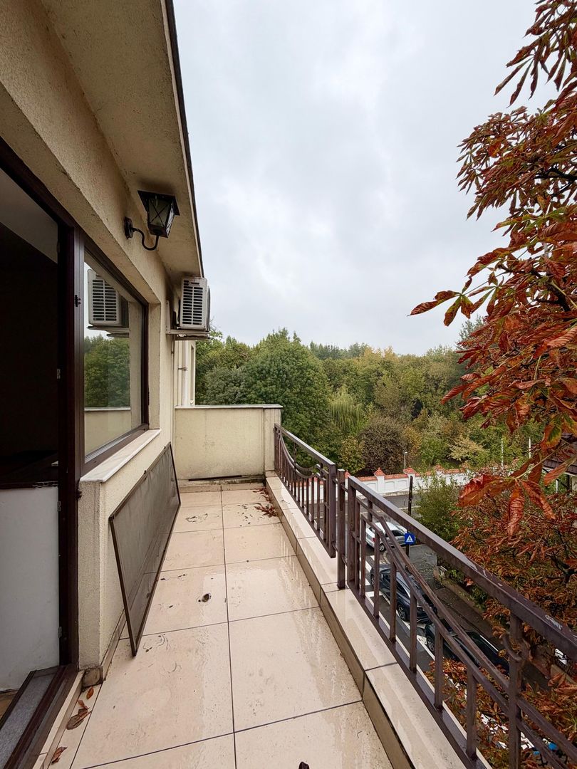 Spatiu Birouri in VILA/ 124 mp/ Cotroceni/ Vizavi de Palatul Cotroceni - 15
