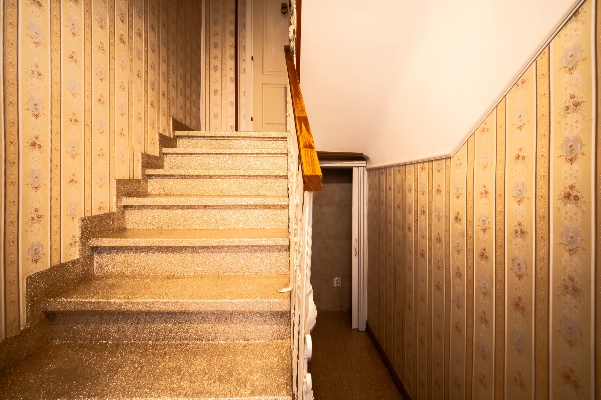 VILA INTERBELICA - AVIATORILOR - 11 CAMERE - 18