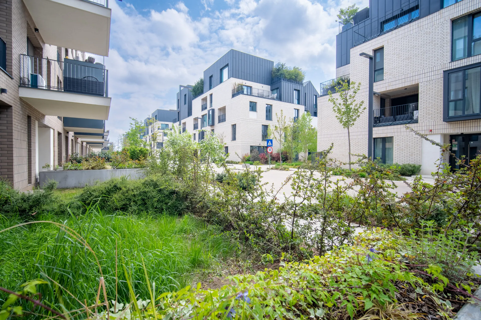5-room villa Pipera, Bucharest - 21